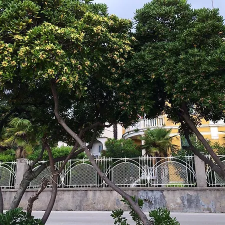 Secret Garden 扎达尔